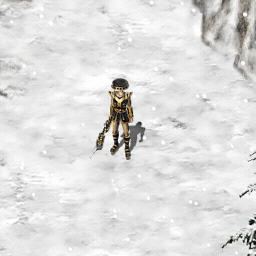 大雪.gif